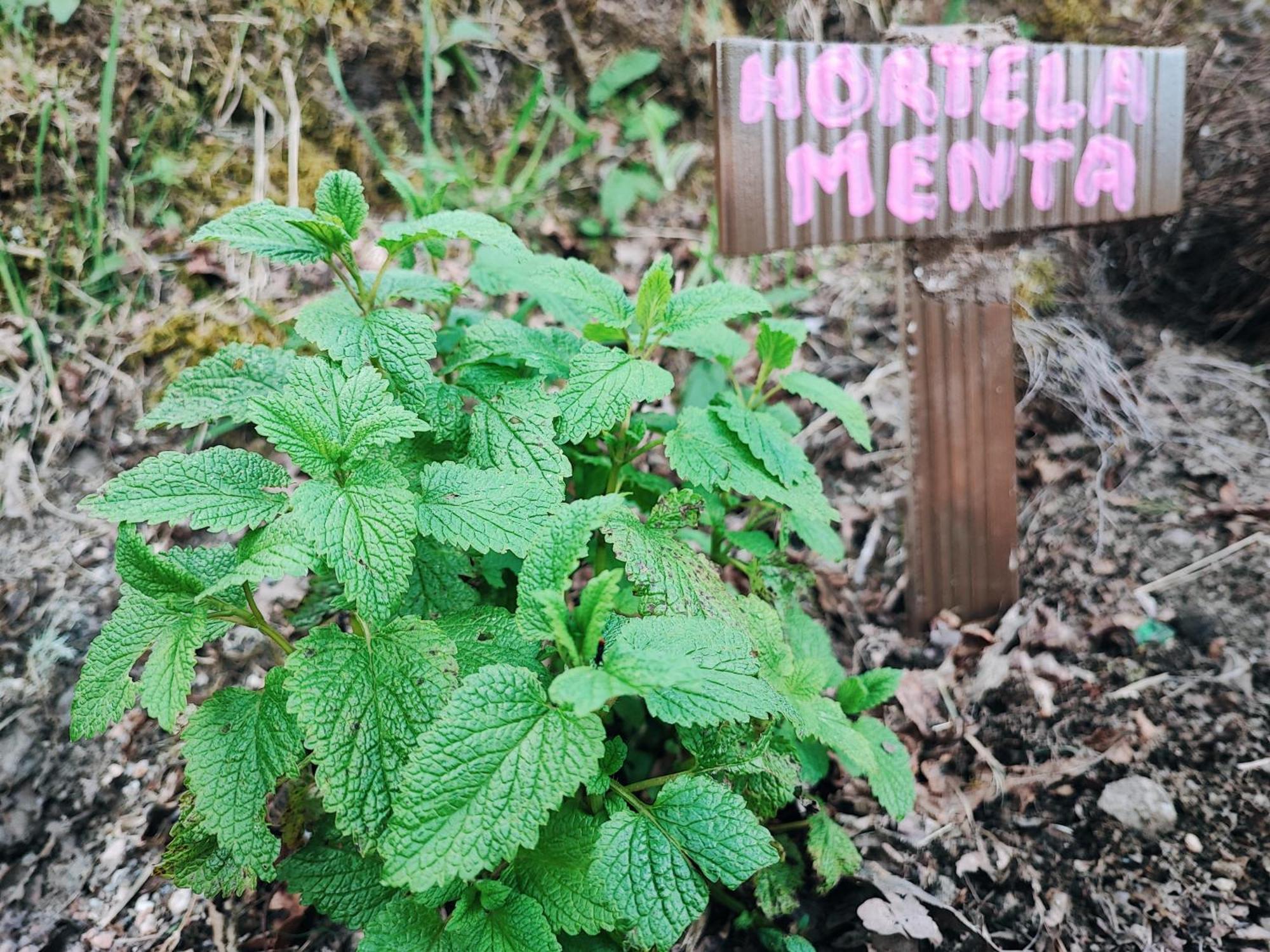 Moinhos Do Poco Verde - Nova Gestao Castro Laboreiro Εξωτερικό φωτογραφία